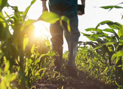 Snapshot: NJ Produce Season Through The Eyes of Nardelli Bros.