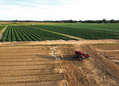 Nardelli Lake View Farms Overcoming Challenges